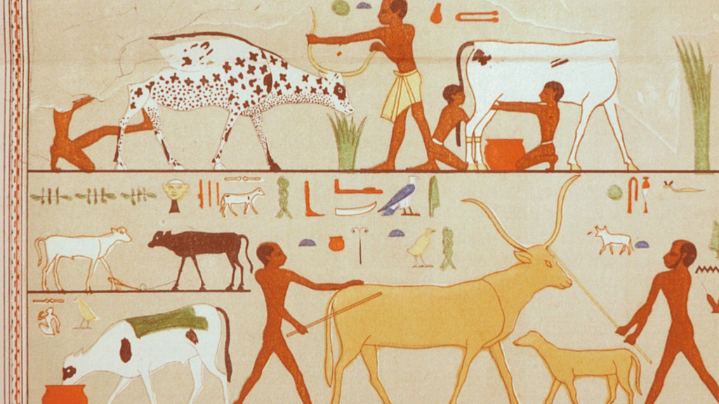 Scenes painted on white plaster, Fifth Dynasty (approx. 2500–2300 BCE)